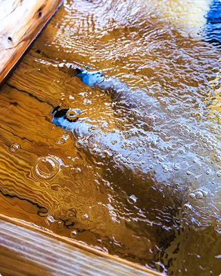 写真:湯船に満ちる強アルカリの温泉
