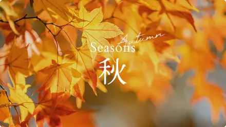 Seasons 秋