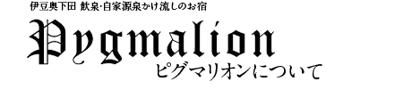 伊豆奥下田 飲泉・自家源泉かけ流しのお宿 Pygmalion ピグマリオンについて